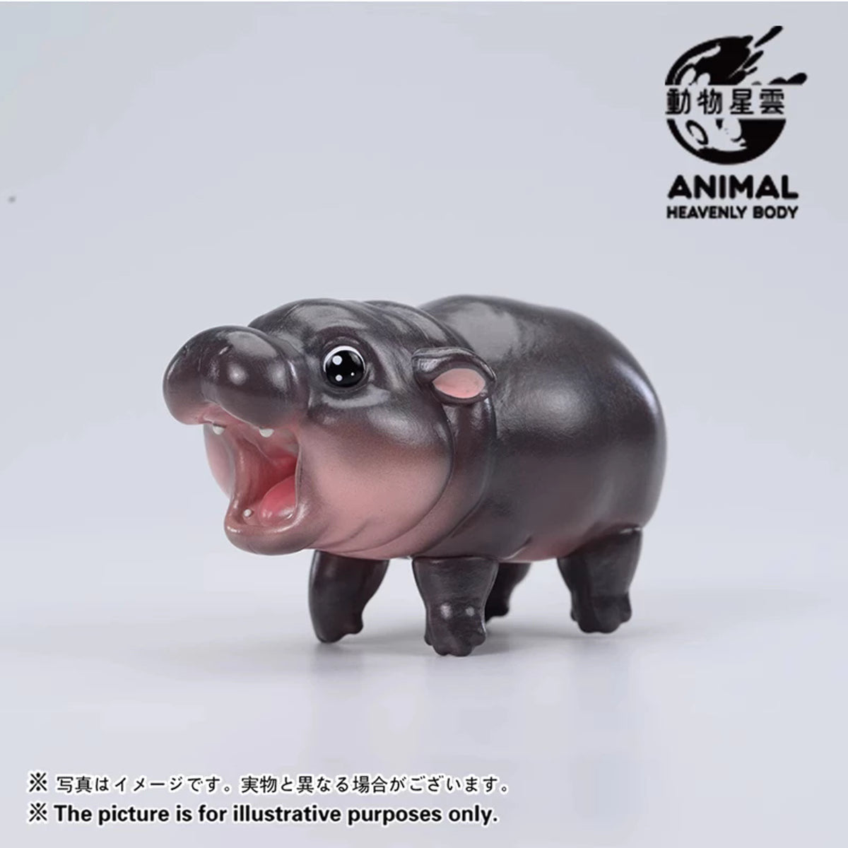 Animal Heavenly Body Thailand Moodeng Blind Box
