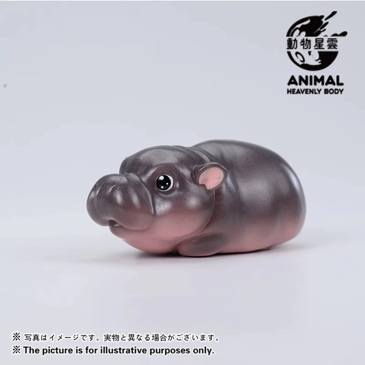Animal Heavenly Body Thailand Moodeng Blind Box