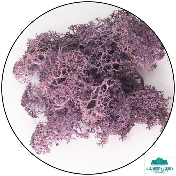 Lichen Reindeer Moss Aubergine Purple