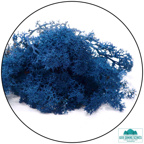 Lichen Reindeer Moss Dark Blue