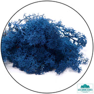 Lichen Reindeer Moss Dark Blue