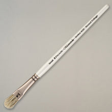 Load image into Gallery viewer, Pro Arte x Terry Harrison Special Effects Masterstroke Series 65 Brush