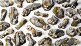 Gamers Grass Basing Bits Rocks