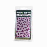 Siege Scenics Radioactive Raspberry