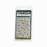 Siege Scenics Bleached Frontera