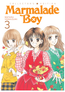 Marmalade Boy Collector's Edition Volume 3