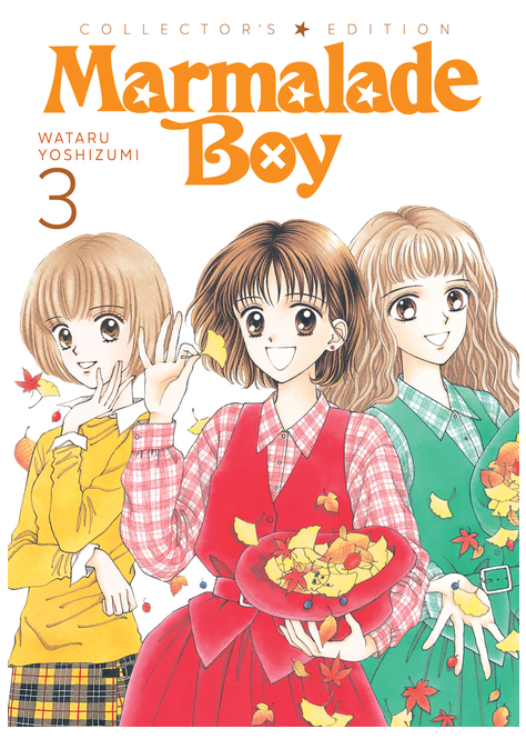 Marmalade Boy Collector's Edition Volume 3