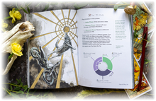 Load image into Gallery viewer, The Almanac of Sanguine Paths RPG
