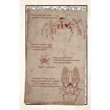 Load image into Gallery viewer, The Librarian's Apprentice RPG: Song of the Scryptwyrm