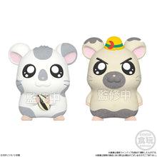 Load image into Gallery viewer, Hamtaro: Flocked Soft Vinyl Blind Box