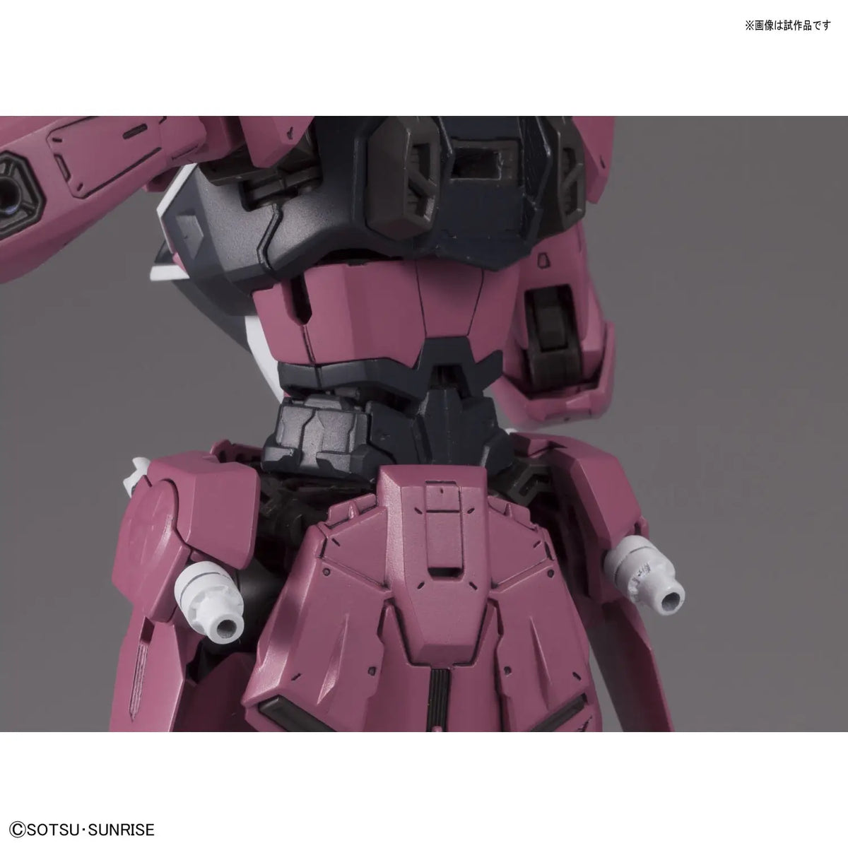 MG Justice Gundam 1/100 Model Kit