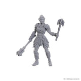 D&D Nolzur's Marvelous Miniatures Special Edition Baldur's Gate 3 - Dame Aylin & Minthara