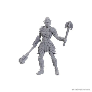 D&D Nolzur's Marvelous Miniatures Special Edition Baldur's Gate 3 - Dame Aylin & Minthara