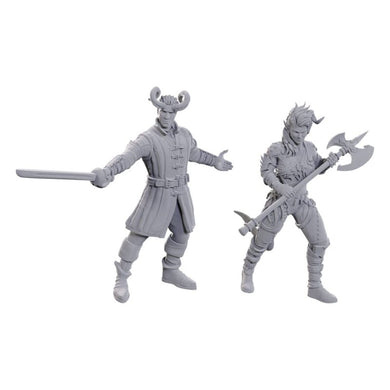 D&D Nolzur's Marvelous Miniatures Special Edition Baldur's Gate 3 - Wyll & Karlach