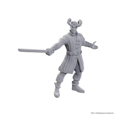 D&D Nolzur's Marvelous Miniatures Special Edition Baldur's Gate 3 - Wyll & Karlach