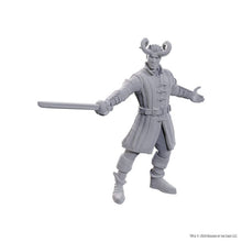 Load image into Gallery viewer, D&amp;D Nolzur&#39;s Marvelous Miniatures Special Edition Baldur&#39;s Gate 3 - Wyll &amp; Karlach