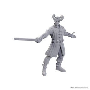 D&D Nolzur's Marvelous Miniatures Special Edition Baldur's Gate 3 - Wyll & Karlach