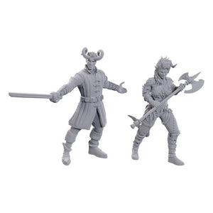 D&D Nolzur's Marvelous Miniatures Special Edition Baldur's Gate 3 - Wyll & Karlach