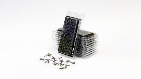 Gamers Grass Laser Plants Black Magic Taro