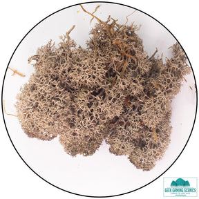 Lichen Reindeer Moss Brown
