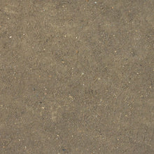 Load image into Gallery viewer, AK Interactive Splatter Effects Dirt