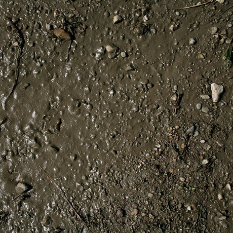 AK Interactive Terrains Wet Ground 250ml