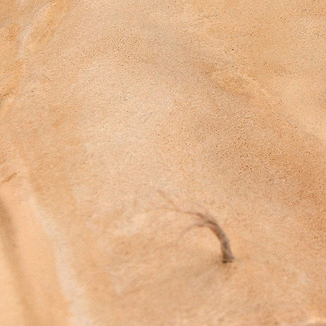AK Interactive Terrains Sandy Desert 250ml