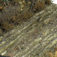 Load image into Gallery viewer, AK Interactive Terrains Wet Ground 250ml