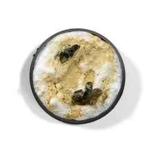 Load image into Gallery viewer, AK Interactive Dust Liquid Pigment 35ml