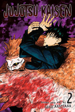 Load image into Gallery viewer, Jujutsu Kaisen Volume 2