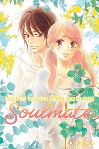 Kimi ni Todoke From Me to You: Soulmate Volume 2