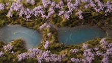 Load image into Gallery viewer, Gamers Grass Lavender Flowers