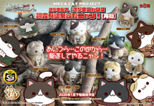 Load image into Gallery viewer, Attack on Titan: Attack on Tinyan Gathering Scout Regiment danyan! MEGA CAT PROJECT Blind Box