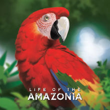 Load image into Gallery viewer, Life of the Amazonia