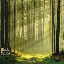 Load image into Gallery viewer, Black Forest