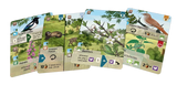 Forest Shuffle Woodland Edge Expansion