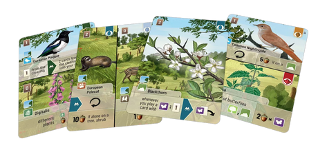 Forest Shuffle Woodland Edge Expansion