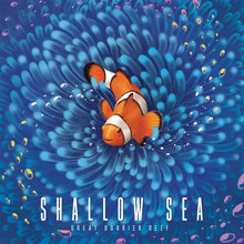 Load image into Gallery viewer, Shallow Sea