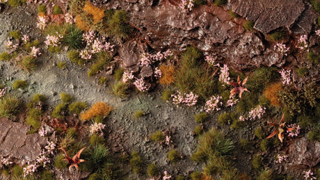 Gamers Grass Pink Orchid Tiny Flowers