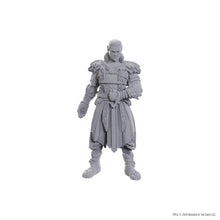 Load image into Gallery viewer, D&amp;D Nolzur&#39;s Marvelous Miniatures Special Edition Baldur&#39;s Gate 3 - Jaheira &amp; Halsin