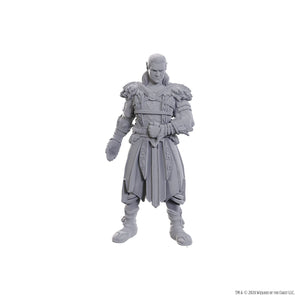D&D Nolzur's Marvelous Miniatures Special Edition Baldur's Gate 3 - Jaheira & Halsin