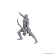 Load image into Gallery viewer, D&amp;D Nolzur&#39;s Marvelous Miniatures Special Edition Baldur&#39;s Gate 3 - Jaheira &amp; Halsin
