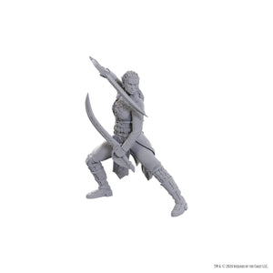D&D Nolzur's Marvelous Miniatures Special Edition Baldur's Gate 3 - Jaheira & Halsin