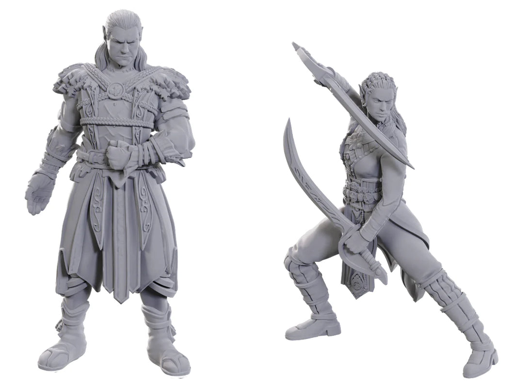 D&D Nolzur's Marvelous Miniatures Special Edition Baldur's Gate 3 - Jaheira & Halsin