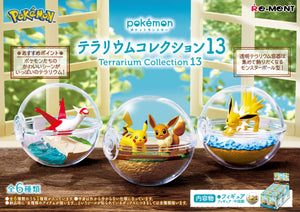 Pokemon Terrarium Collection 13