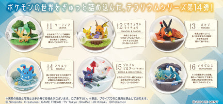 Pokemon Terrarium Collection 14