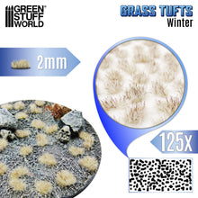 Load image into Gallery viewer, Green Stuff World Grass Tufts White Winter 2mm