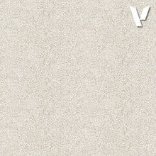 Load image into Gallery viewer, Vallejo Earth Landscape Textures Alkaline White 1-2 mm