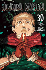 Jujutsu Kaisen Volume 30