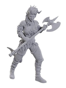 D&D Nolzur's Marvelous Miniatures Special Edition Baldur's Gate 3 - Wyll & Karlach